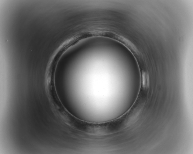 X0000098100723200804111022
