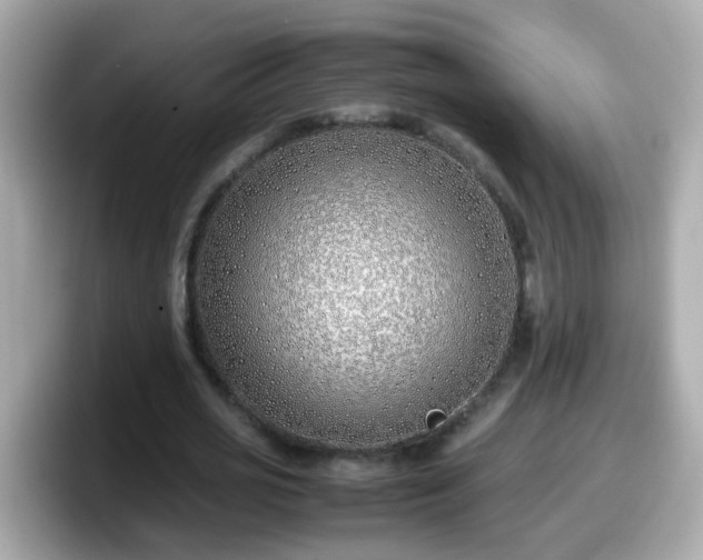 X0000098100725200804111022