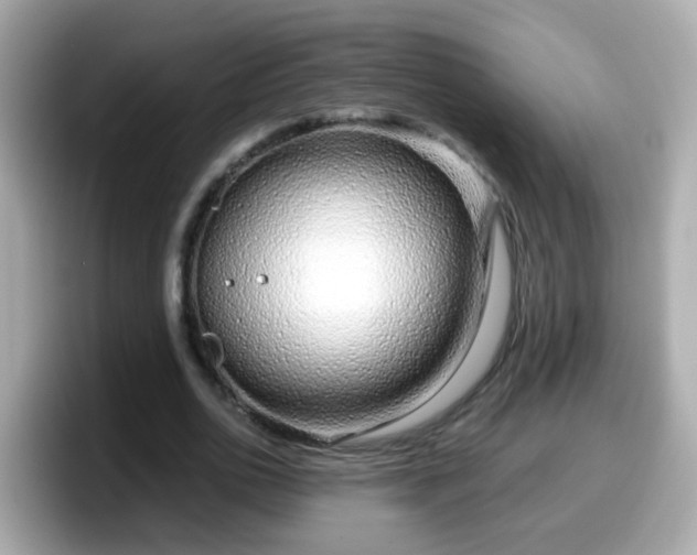 X0000098100726200804111022