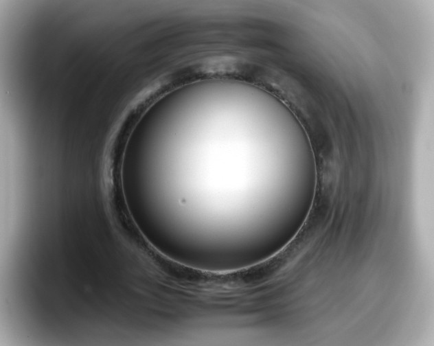 X0000098100727200804111022