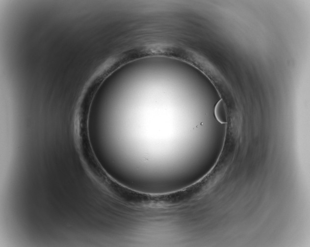 X0000098100730200804111022