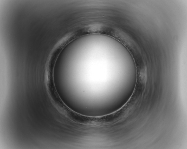 X0000098100732200804111022