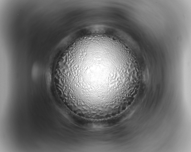 X0000098100733200804111022