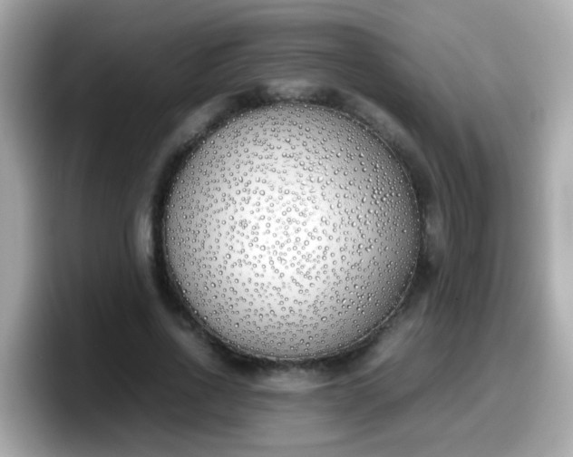 X0000098100734200804111022