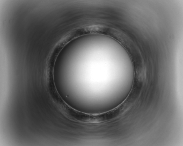 X0000098100735200804111022
