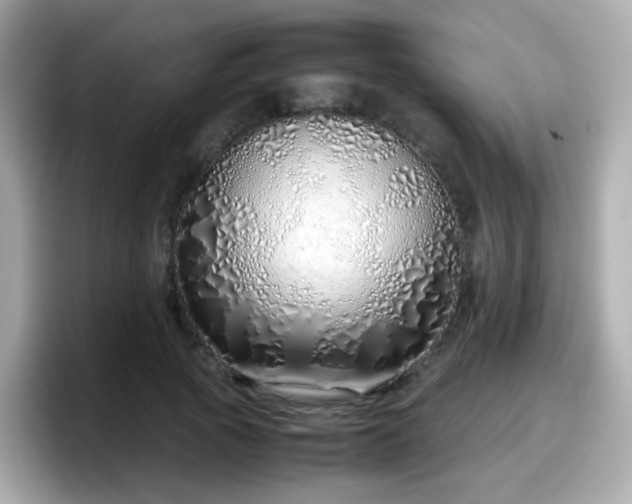 X0000098100737200804111022