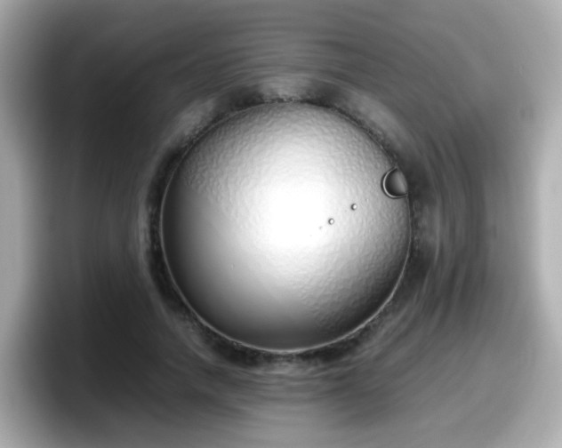X0000098100738200804111022