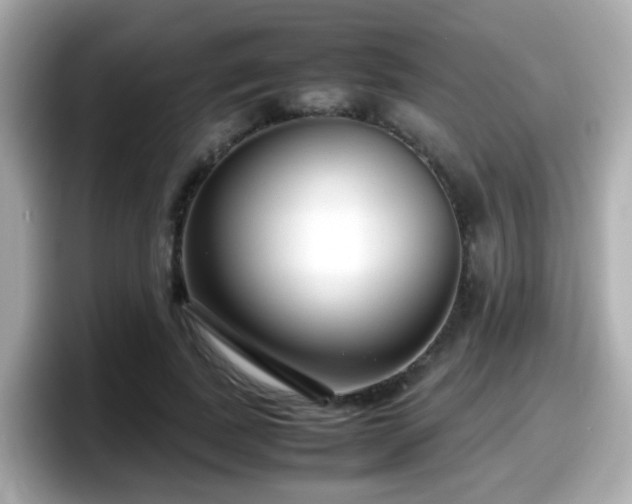 X0000098100739200804111022