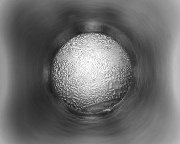 X0000098100741200804111022