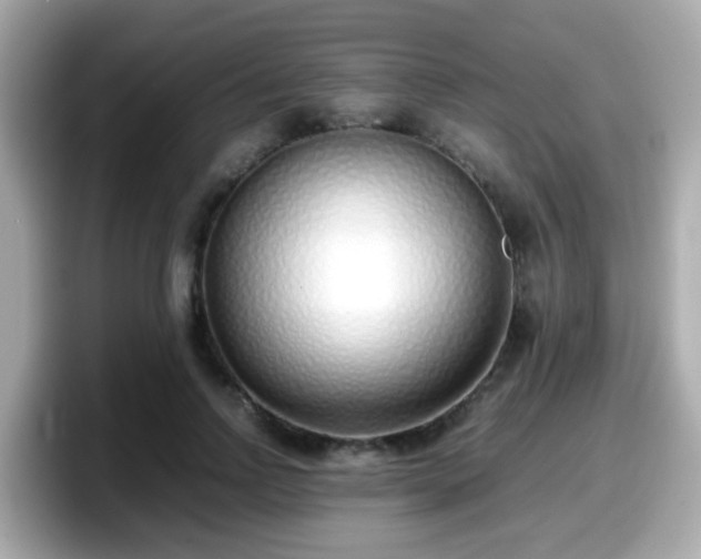 X0000098100742200804111022
