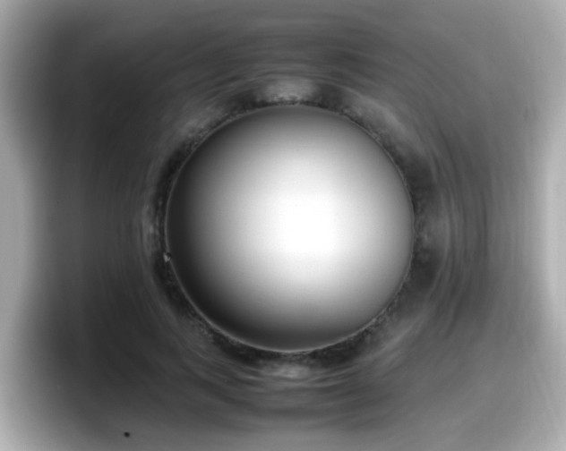 X0000098100743200804111022