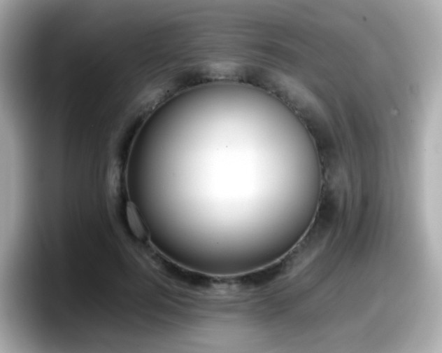 X0000098100744200804111022