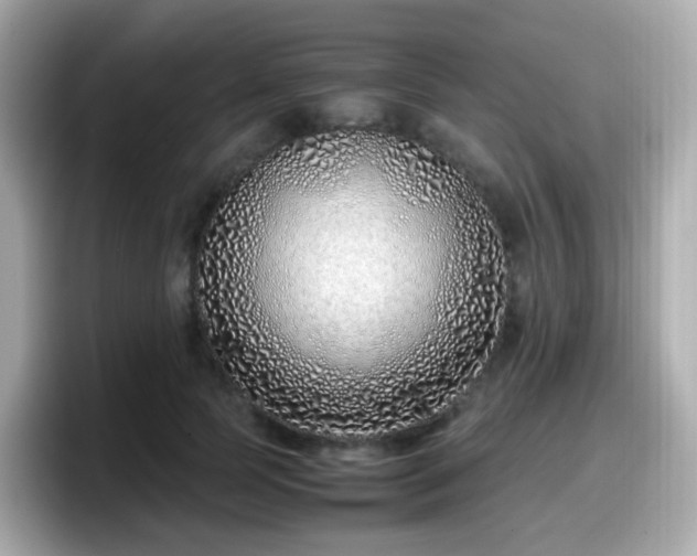 X0000098100745200804111022