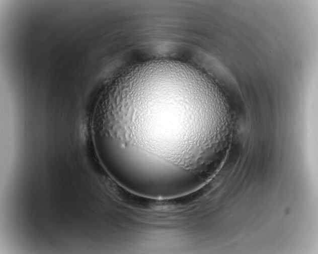 X0000098100746200804111022