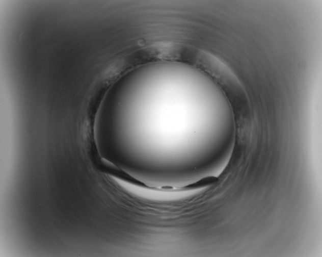 X0000098100748200804111022