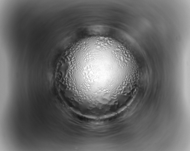 X0000098100749200804111022