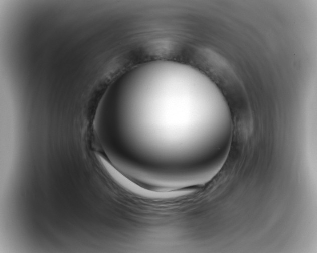 X0000098100750200804111022