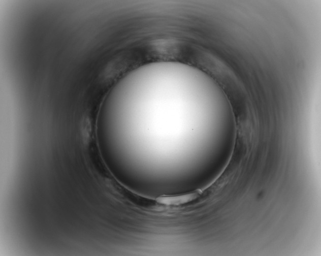 X0000098100752200804111022
