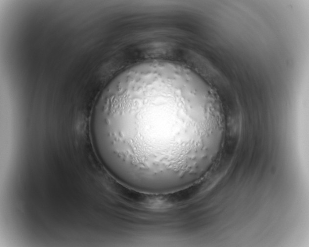 X0000098100753200804111022
