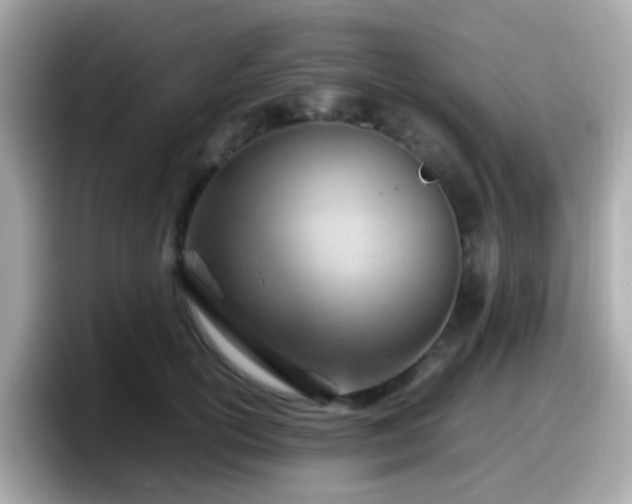 X0000098100754200804111022