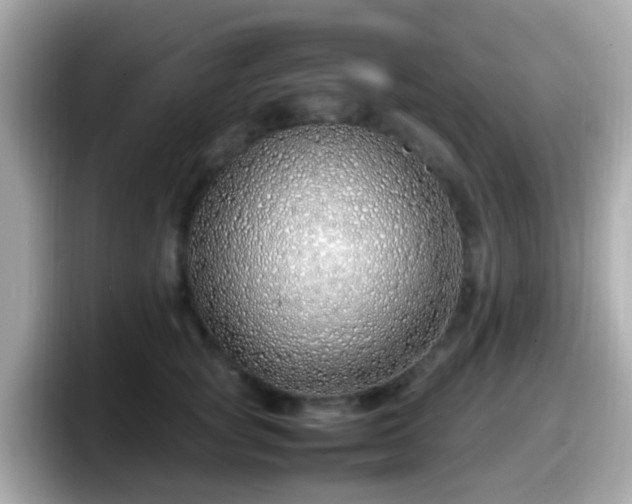 X0000098100757200804111022