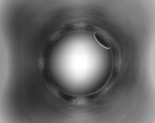 X0000098100758200804111022