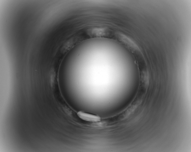 X0000098100760200804111022