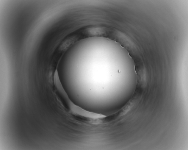 X0000098100762200804111022