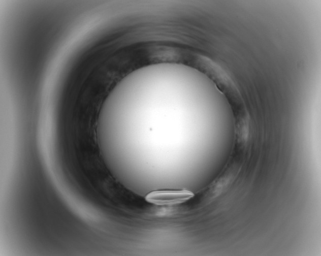 X0000098100764200804111022