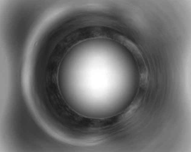 X0000098100765200804111022