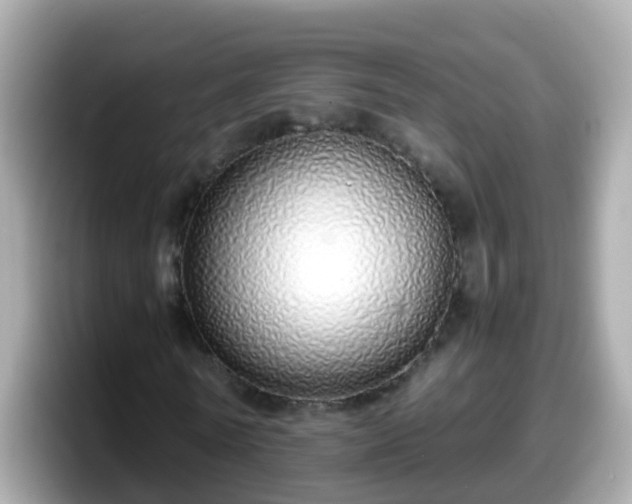 X0000098100770200804111022