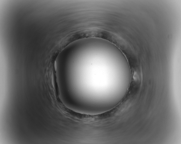 X0000098100771200804111022
