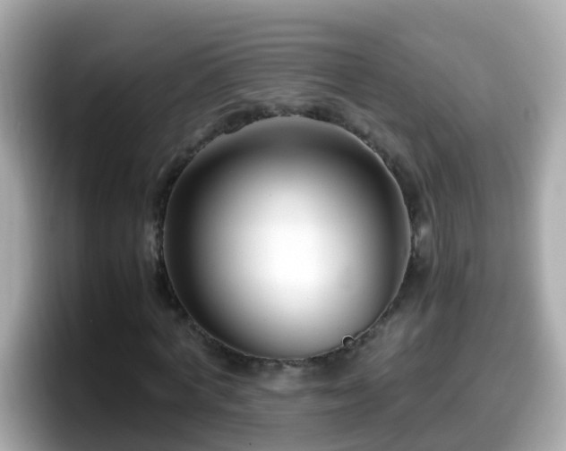 X0000098100772200804111022