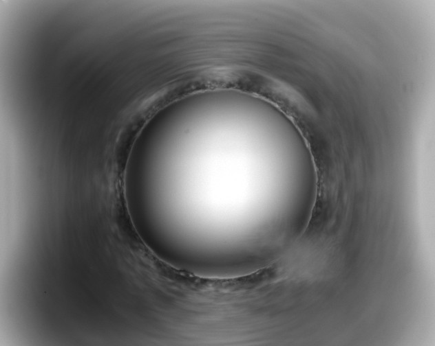 X0000098100773200804111022