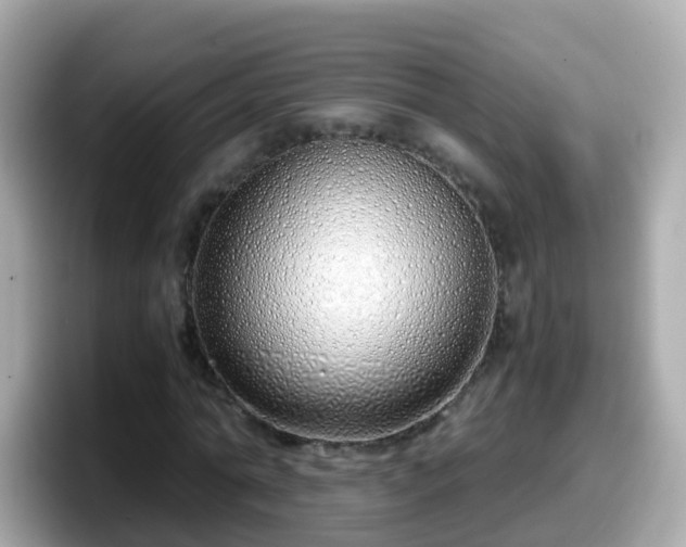 X0000098100774200804111022