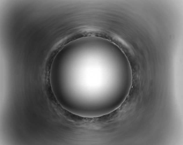 X0000098100775200804111022