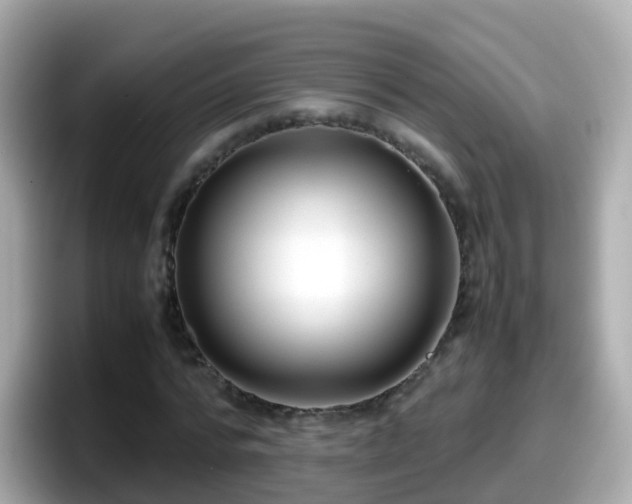 X0000098100776200804111022