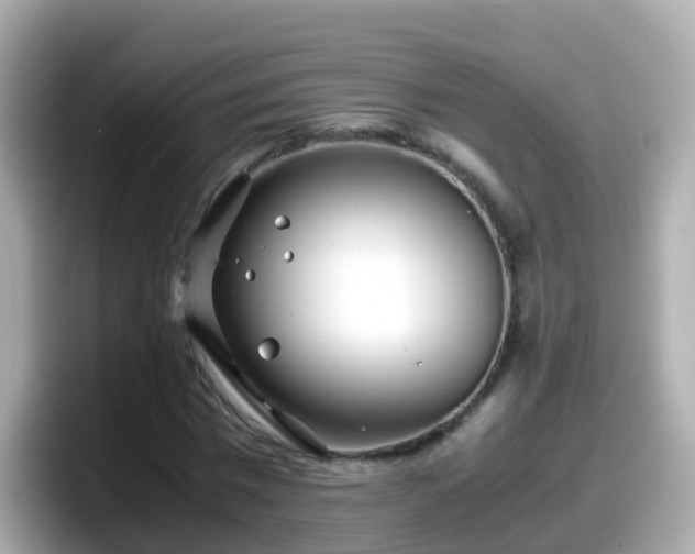 X0000098100777200804111022