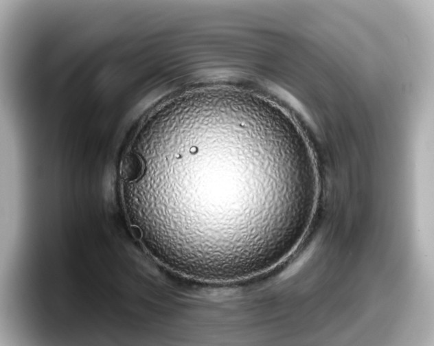 X0000098100778200804111022