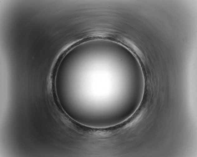 X0000098100779200804111022