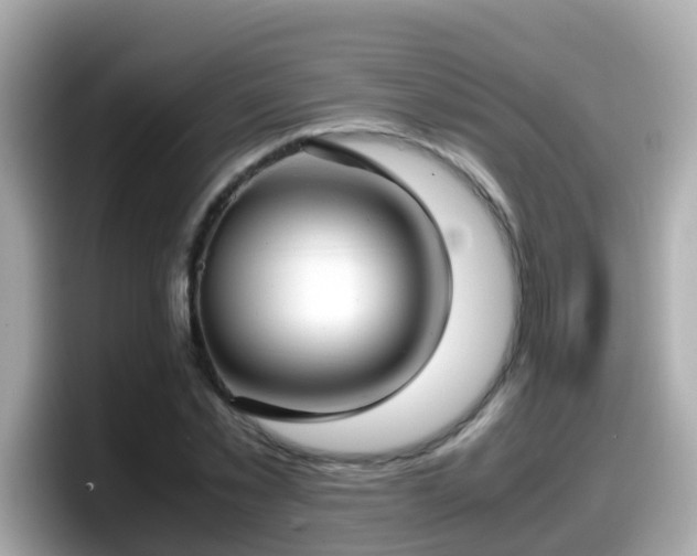 X0000098100781200804111022