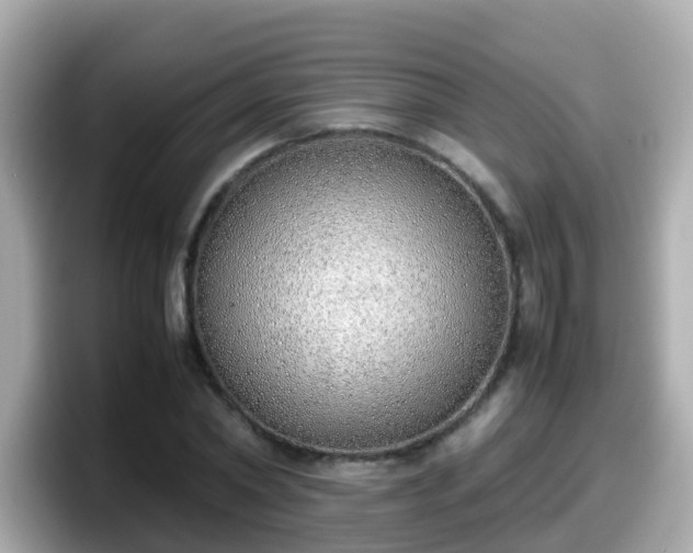 X0000098100782200804111022