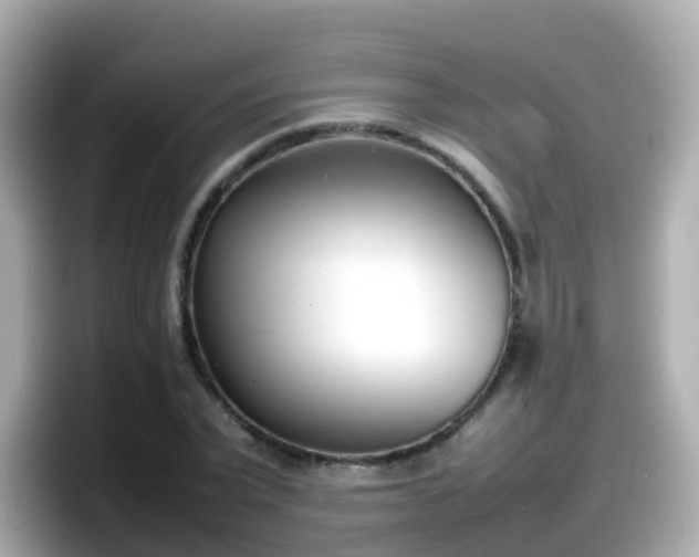 X0000098100783200804111022