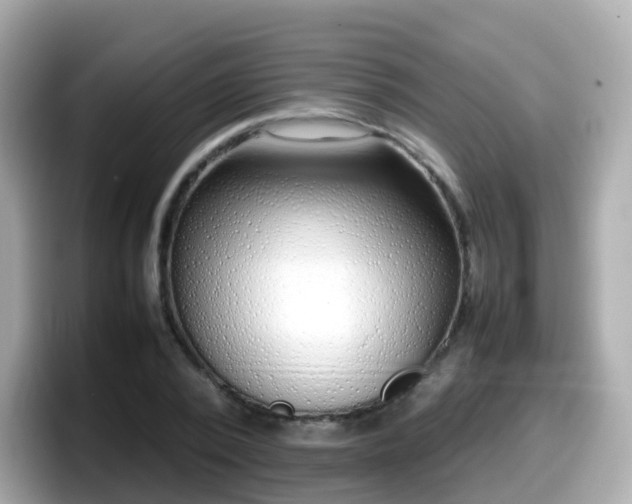X0000098100784200804111022