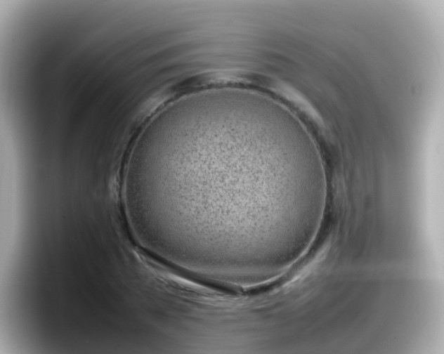 X0000098100785200804111022