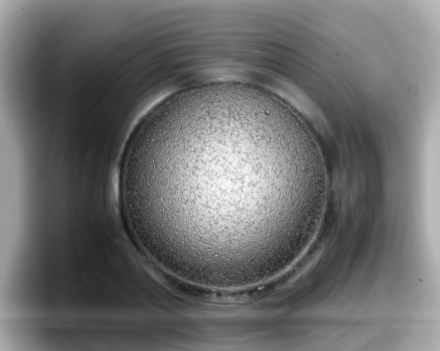 X0000098100790200804111022