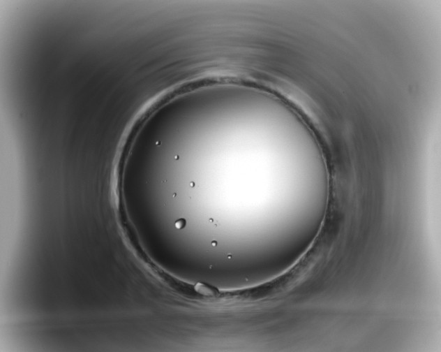 X0000098100791200804111022