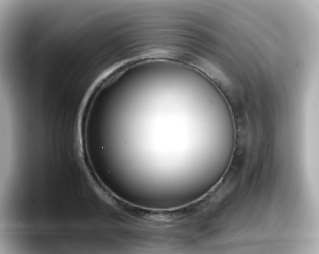 X0000098100792200804111022