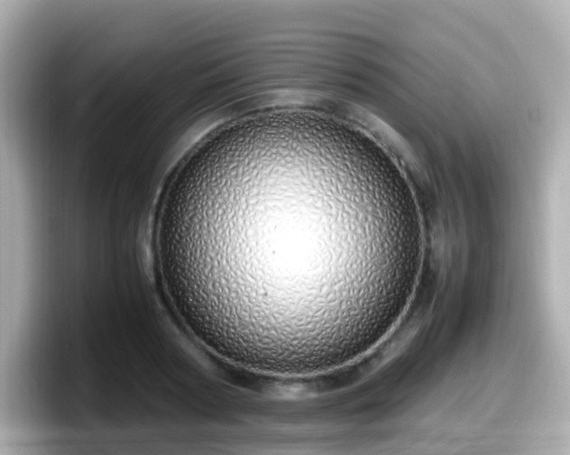 X0000098100794200804111022