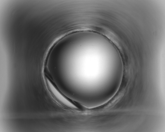 X0000098100797200804111021